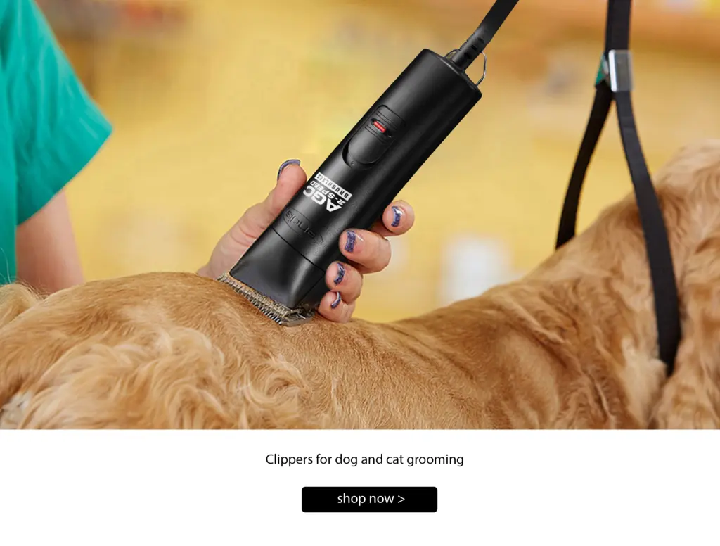 687773e41f4a0_lika 7d.jpg